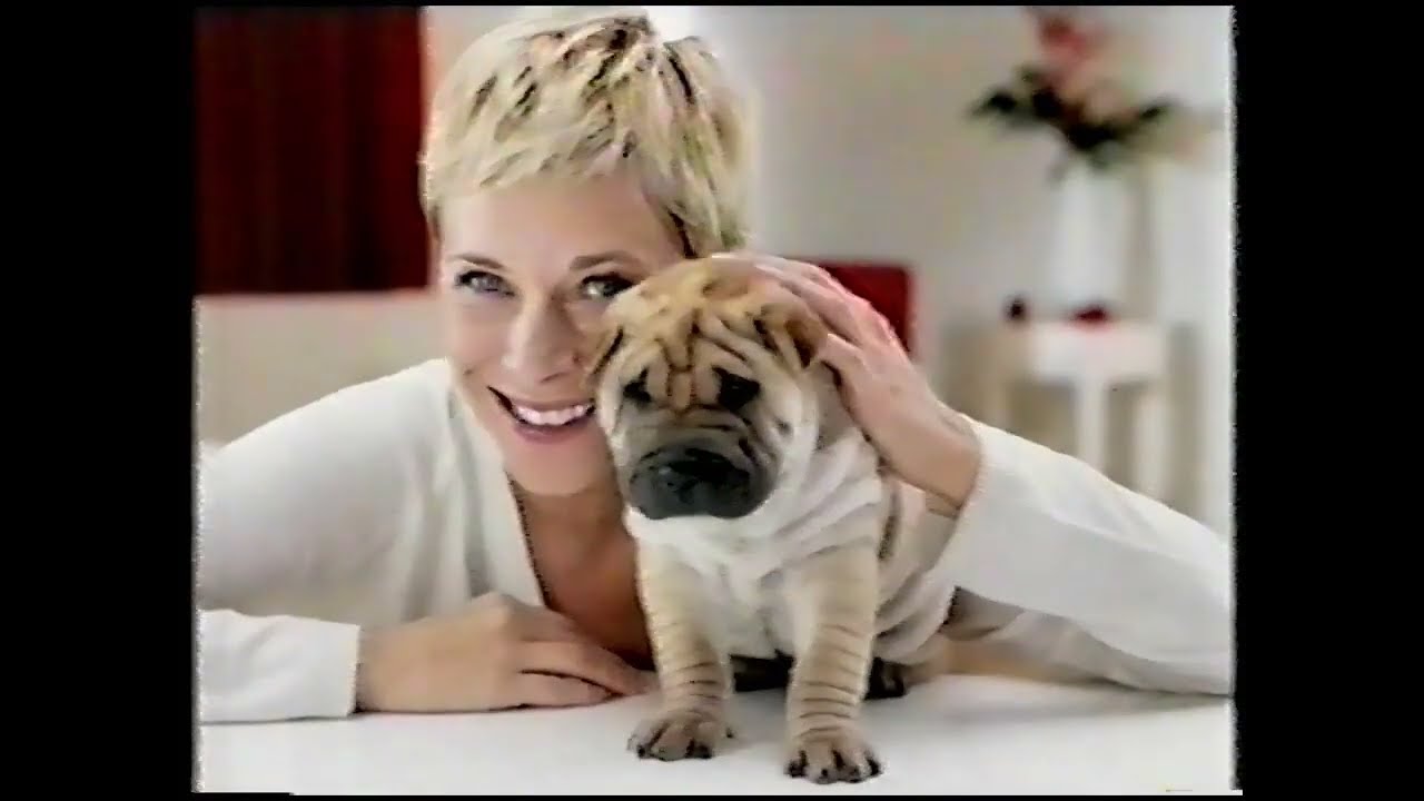 TV4 - Zapowiedzi i reklamy (06.04.2006)