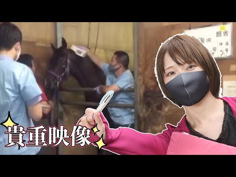 【貴重映像】競走馬の検疫所に初潜入！＜真理子はやっぱり馬が好き＞