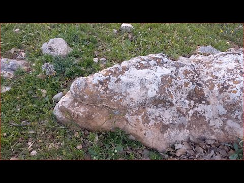 سلسلة الزم حدك لأقلب ضدك اشارة رأس التمساح وما يحدث للخبراء شاهد الجزأ الاول