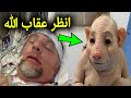 رجل بريطاني يسخر من صديقه المسلم فجاءه الرد الالهي والعقاب فورا عقاب شديد جدا