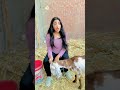 ام مني ومني راحوا عند خالتهم نسموها ايه 