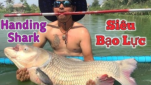 Cần Câu Handing Shark - Chuyên Săn Hàng Khủng