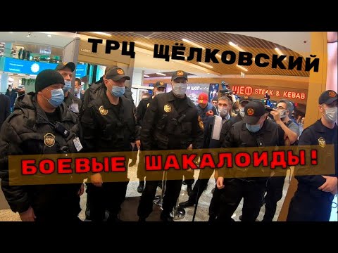 Видео: Храстови полисии