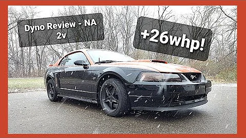 Dyno Review - NA Cammed 4.6l 2V | Ford Mustang GT | +26hp!