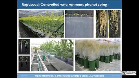 Genomic dissection of trait complexity for crop improvement