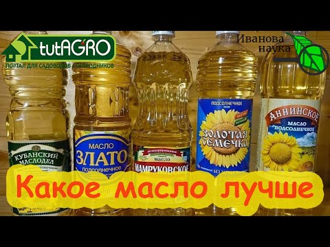 ЛЮДИ В ШОКЕ