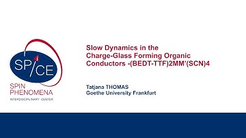 Talks - New Spin on Molecular Quantum Materials - Tatjana THOMAS, Goethe University Frankfurt