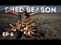 Alyssas solo shed hunting dream trip day 2  2023 shed season ep 6
