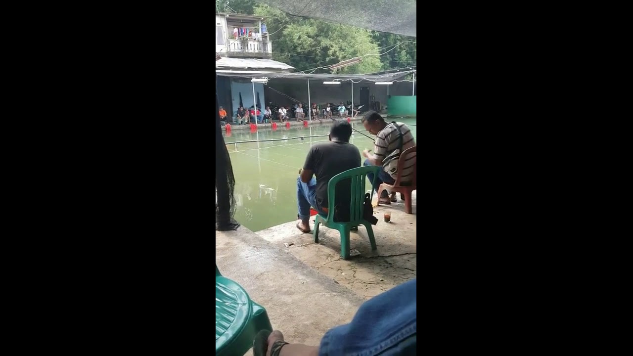 Lomba Mancing Galatama Pemancingan Panorama Bogor