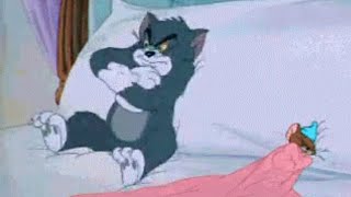 Tom and Jerry very funny GIFs...😂😂