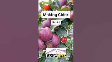 Making Cider with Apples - Easy & Simple Instructions - Part 1