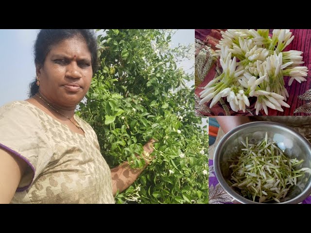 Telangana: Two Girl Students Create Nutritious Slate Pencil For Children to  Eat While Using It - News18