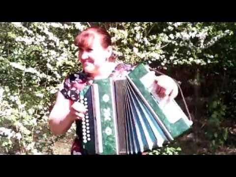 Матаня тамбовская под гармонь. Песня под гармонь стояла чудная сосна. Гармонь на лавочке фото. Песни под гармонь душевные. Под гармошку зажигай.