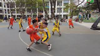 Đội bóng rổ tiểu học Chu Văn An Tây Hồ