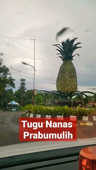 Ikon Kota prabumulih Tugu Nanas