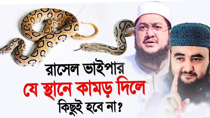 রাসেল ভাইপার যে স্থানে কামড় দিলে কিছুই হবে না। Sheikh AhmedUllah