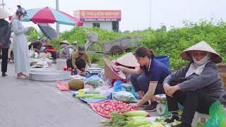 Harvesting Ripe Red fruit to sell, Country Girl Makes Traditional Pork Rice Paper Rolls