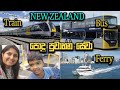New Zealand Public Transport | Bus, Train &amp; Ferry Experience in Auckland