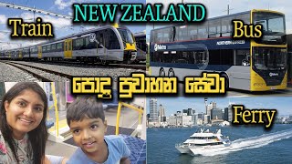 New Zealand Public Transport | Bus, Train & Ferry Experience in Auckland