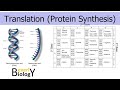 Genetic Code and Translation Concepts