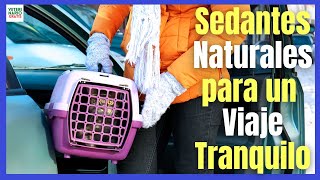 NATURAL TRANQUILIZERS AND SEDANTS FOR TRAVELING WITH CATS BY CAR  (CALMIVET, PHEROMONES, SPRAYS)