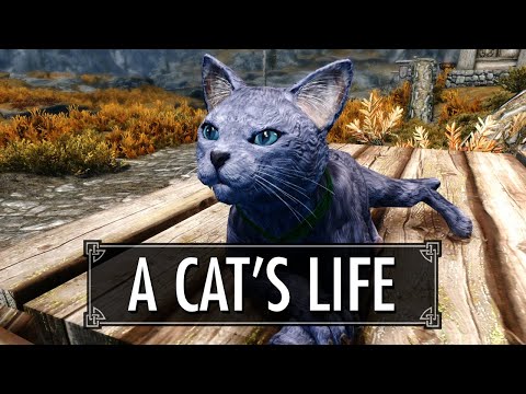 Become a Crazy Cat Person | Skyrim Mods: A Cat's Life