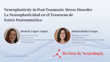 Neuroplasticity in Post-Traumatic Stress Disorder—Video Interpretation