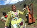 basilia chvez gato del violn-lucero de la maana(honorato cruz)