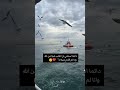 اجمل فيديو حالات واتس يجنن عن الله ع بحر تركيا في السفينه فيديو جميل الكل يتمنى ان يراه