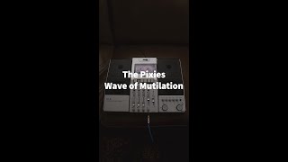 Wave of Mutilation - Pixies (Cover)