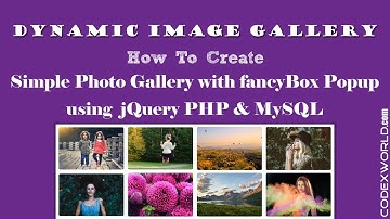 Create Dynamic Image Gallery with Database using jQuery, PHP & MySQL