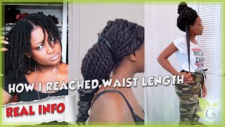WAIST LENGTH REGIMEN   how to reach waist length (REAL INFO)
