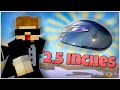 using the smallest mouse in the world in bedwars