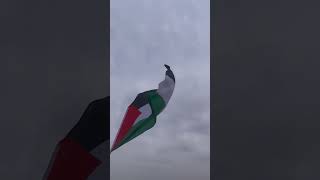 October 7 Proved the Gaza Disengagement Was a Historic Mistake