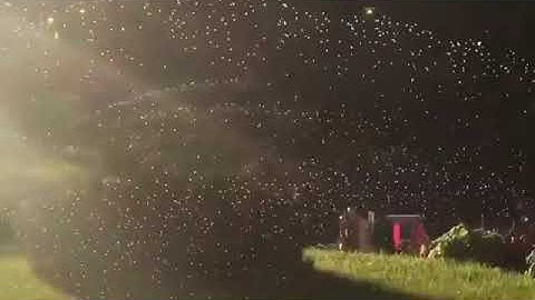 Автоматический полив газона загородного участка