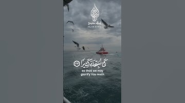 بكاء القارئ إسلام صبحي..قال ربي اشرح لي صدري اجمل تلاوة القرآن الكريم.