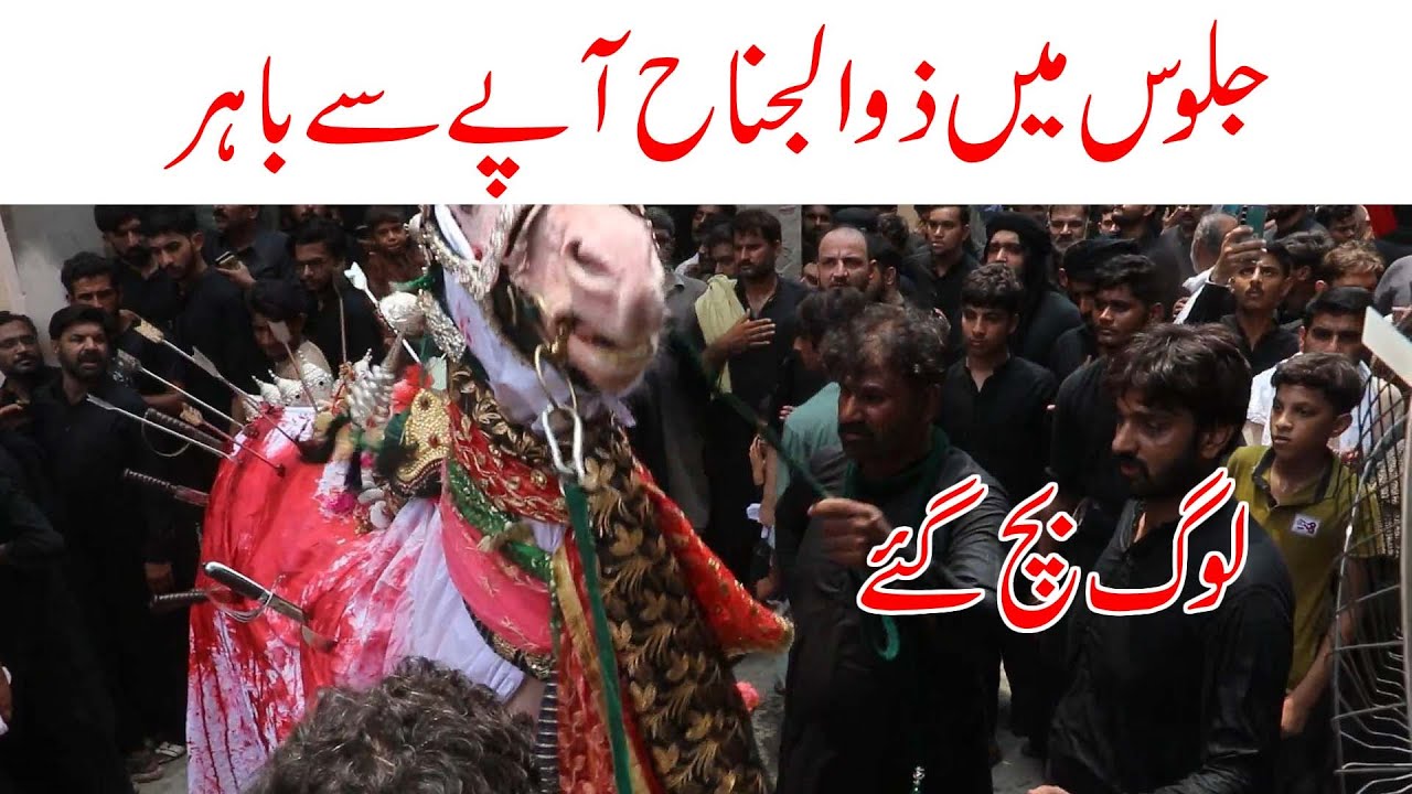 Zuljinha 7 Muharm out of control 2025