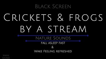 Black Screen 10 Hours - Crickets and Frogs by a Stream - Cricket Sounds - Frog Sounds - Water Sounds