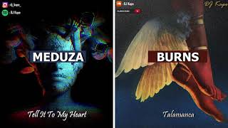 MEDUZA X BURNS - Tell It To My Heart X Talamanca  (DJ Kapo Mashup)