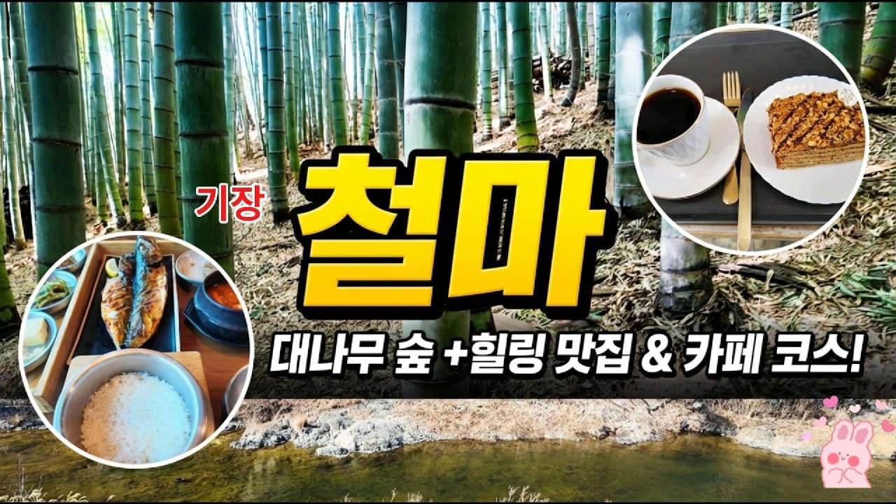 철마, 한우만 있는 줄 알았죠? 🎋 야미짱의 힐링 골목 여행