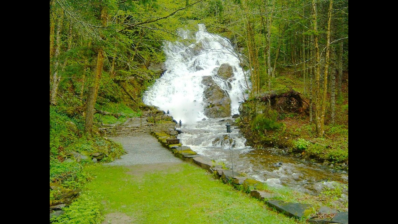 56+ Acre Waterfalls Property For Sale Previously Run As Jeudevine