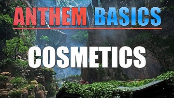 Anthem Basics | Customisation