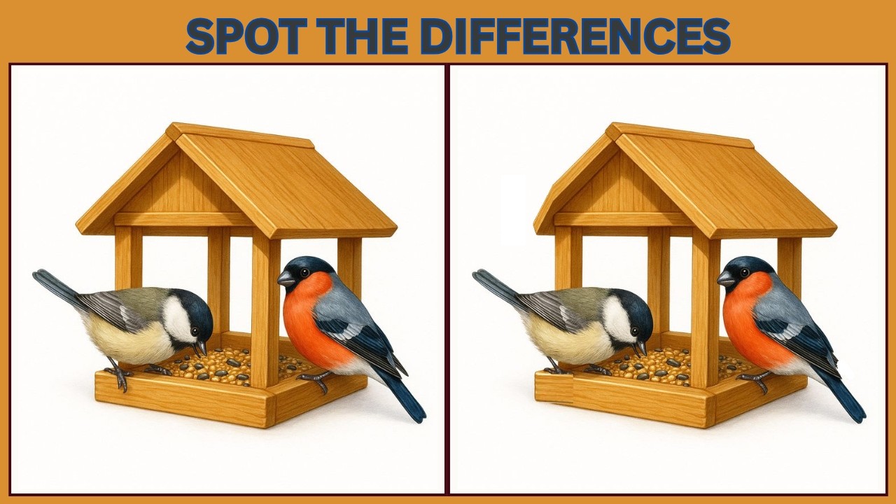 Найдите 3 отличия | 10 головоломок для проверки вашего IQ