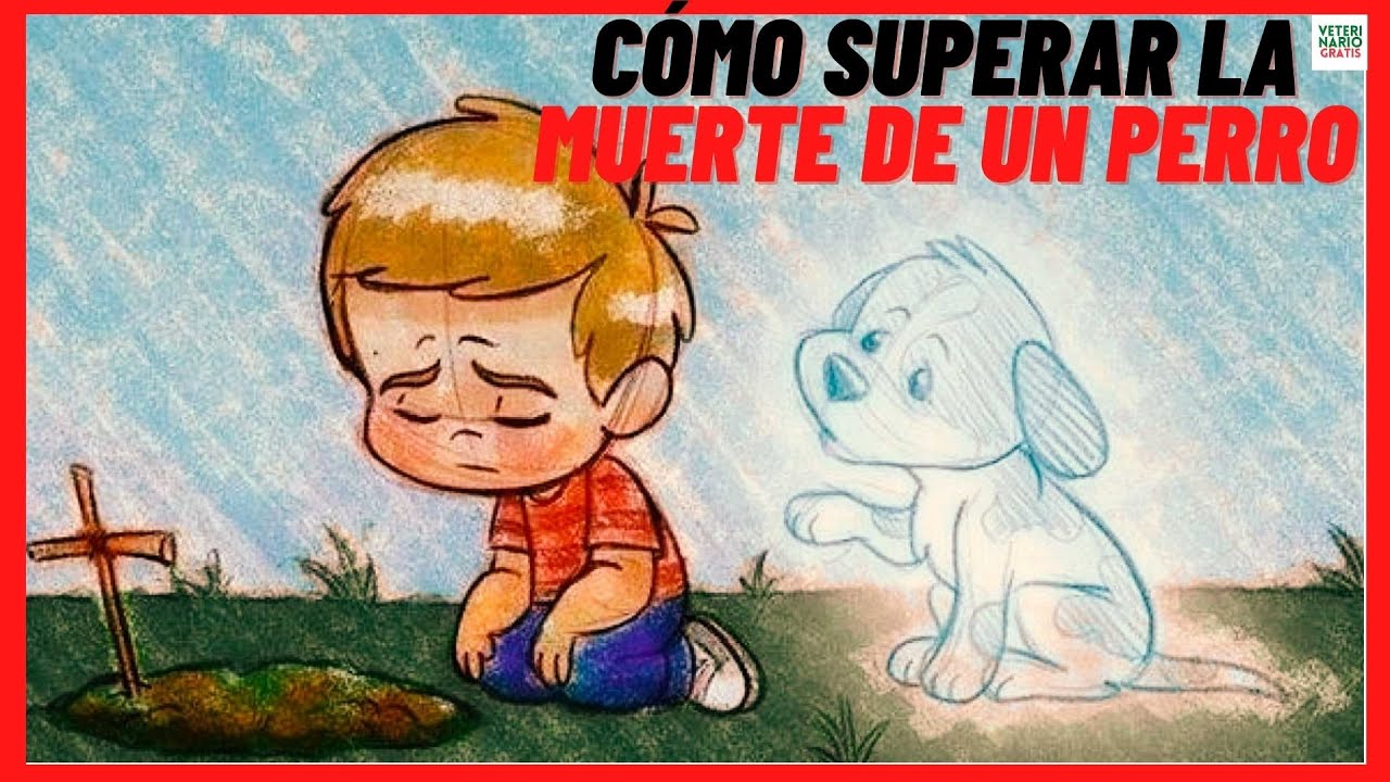 Resumen De 22 Artículos Como Superar La Muerte De Un Perro