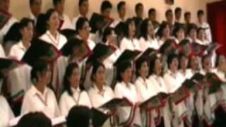 Video thumbnail of "La flor del café-Coro polifonico de la Munic. de Jaén-Charango"