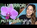 10 cose da NON FARE con le orchidee 🌺 suggerimenti per principianti