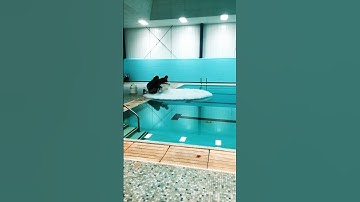 Liquid nitrogen on pool #liquidnitrogen #science #chemistryteacher #shorts