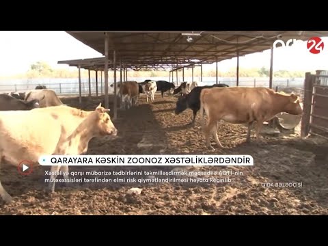 Video: Heyvanların Qida Təhlükəsizliyi Tədqiqatı Haqqında Həqiqət