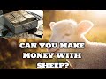 Is Sheep Farming profitable?