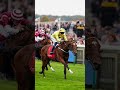 One blink and you’d miss it… Unless you’re behind the lens on raceday 👀 #horseracing